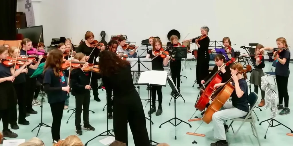 South Powys Youth Music Strings image